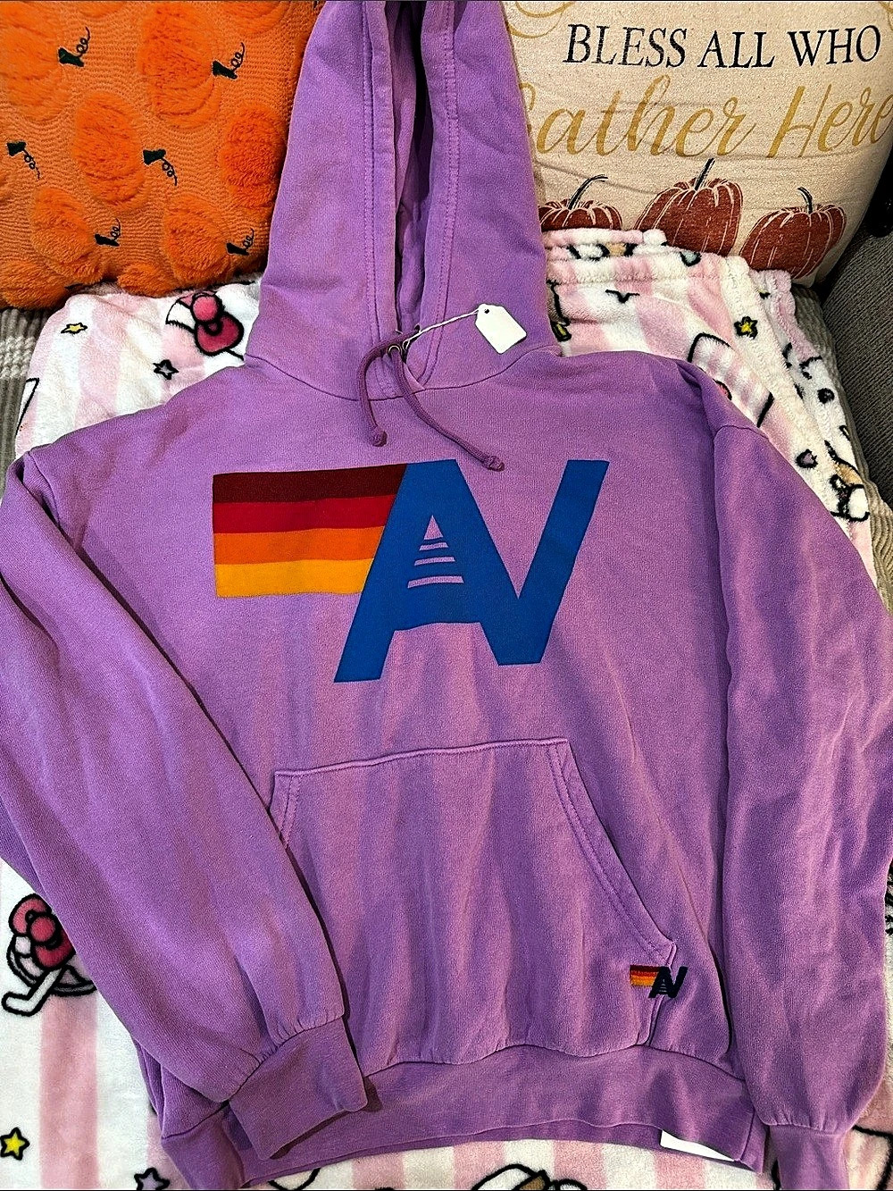 Aviator Nation Logo Pullover Relaxed Hoodie Purple & Blue XS